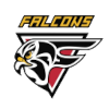HS Falcons